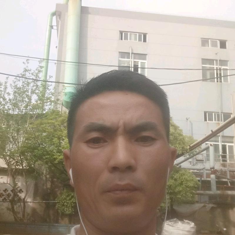 有情有意