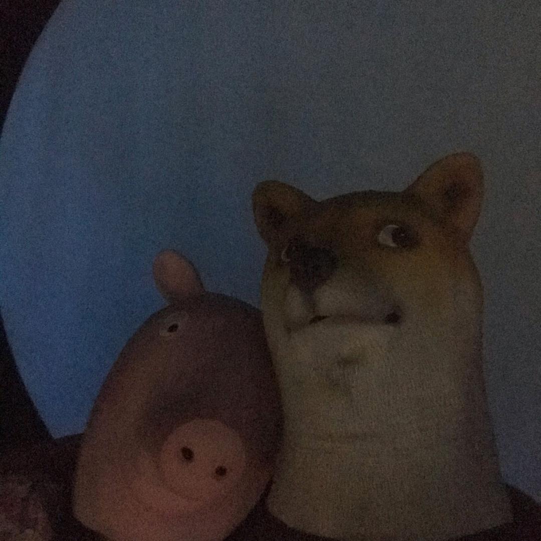 皓哥