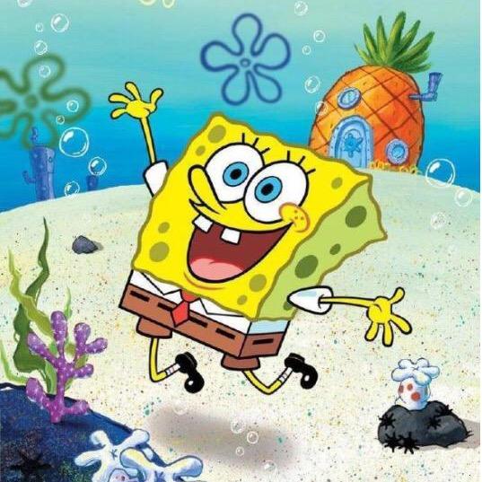 海绵宝宝的小啰嗦@抖音