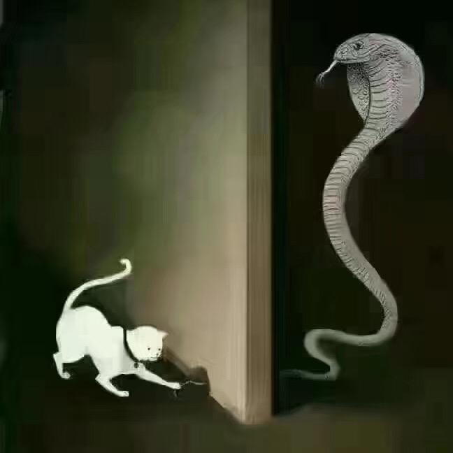 阿笠