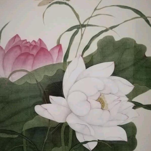 菊香家人
