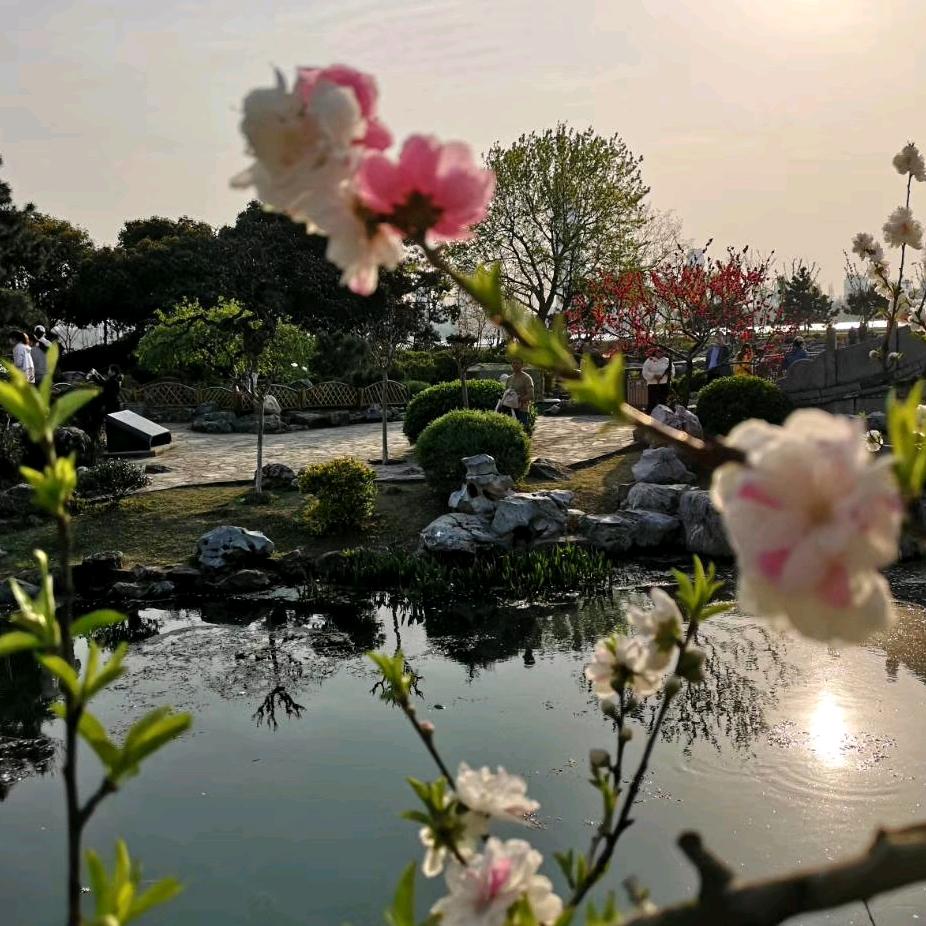 阳光倾城