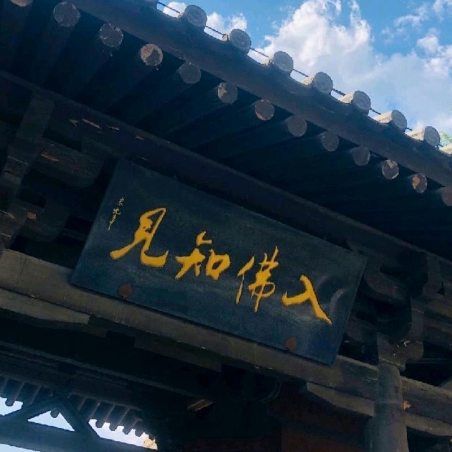 🇨🇳入佛知见🇨🇳