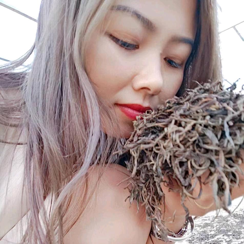茶🌸女罗情