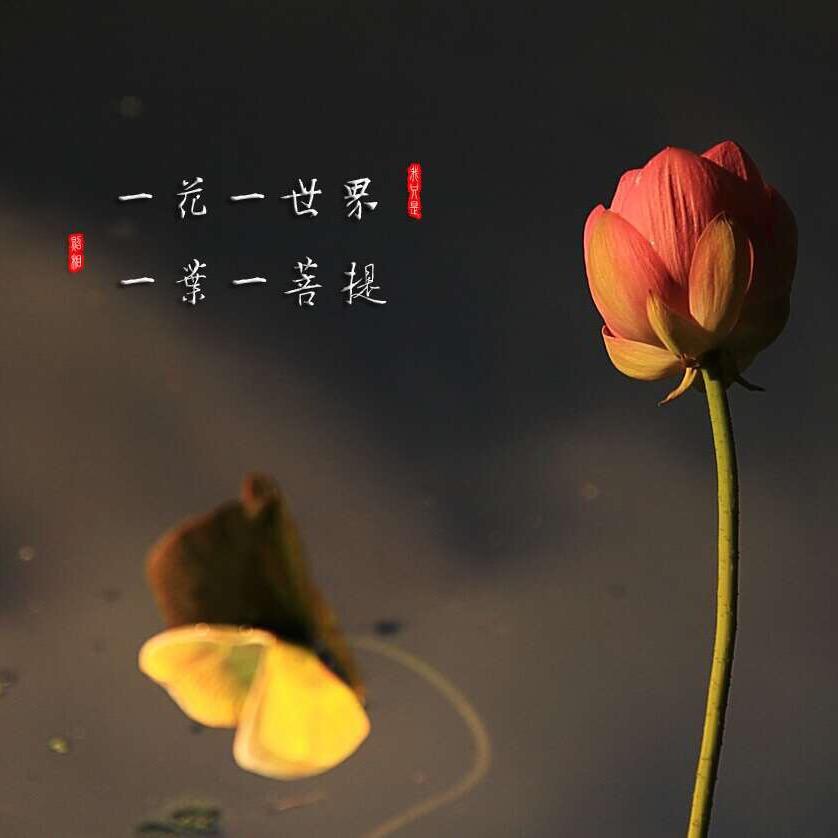 吕华