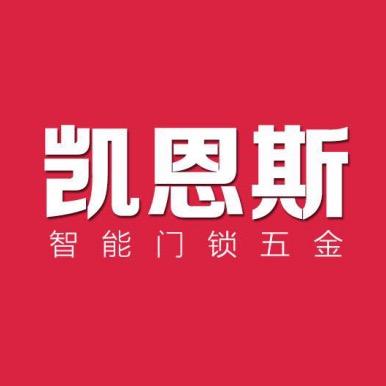 凯恩斯智能门锁五金厂家