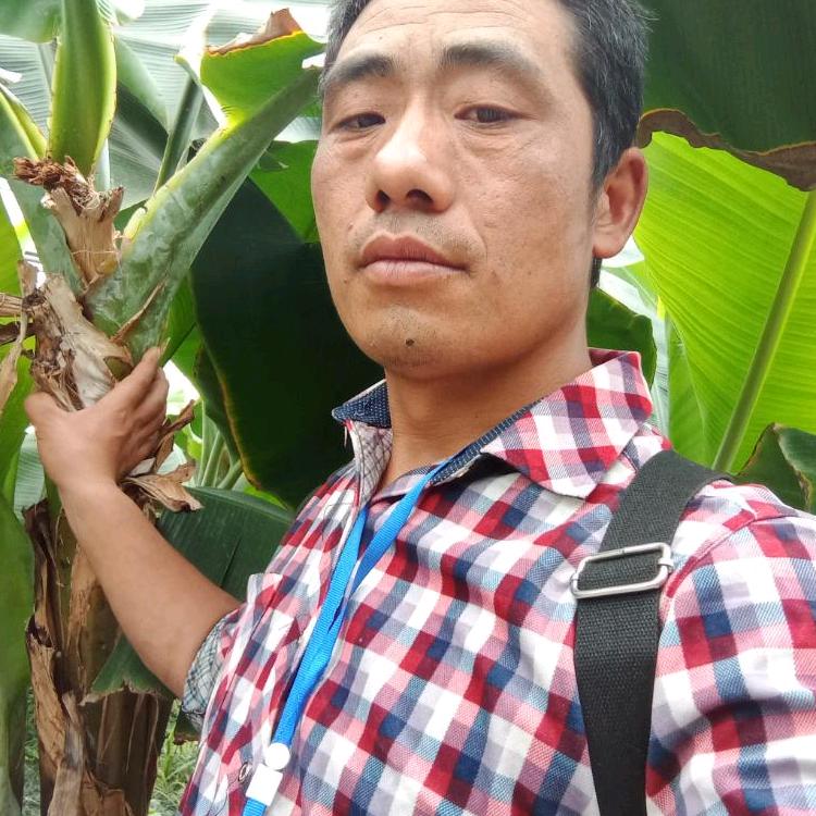 王者归来