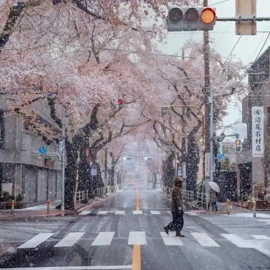 小丑鱼筠