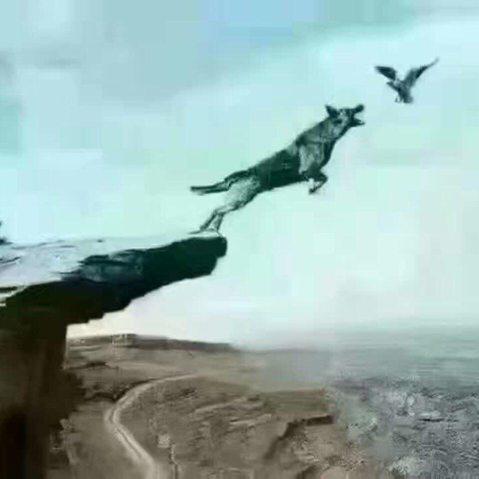 狼队