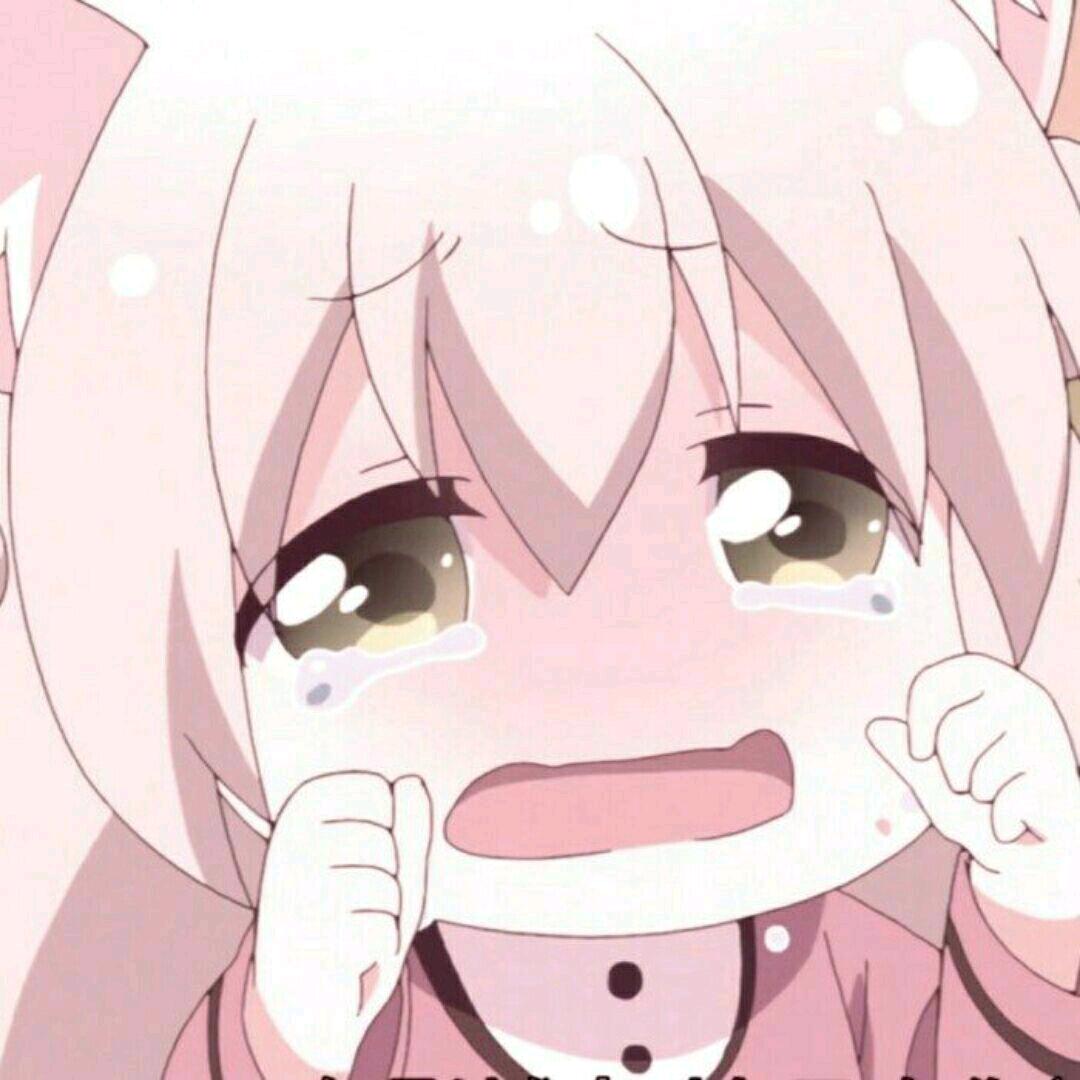 是桐哥-