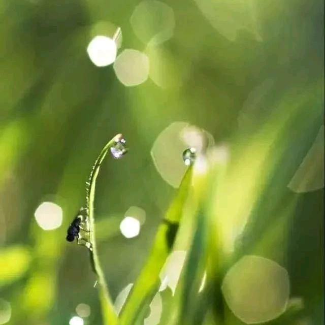 萍水相逢