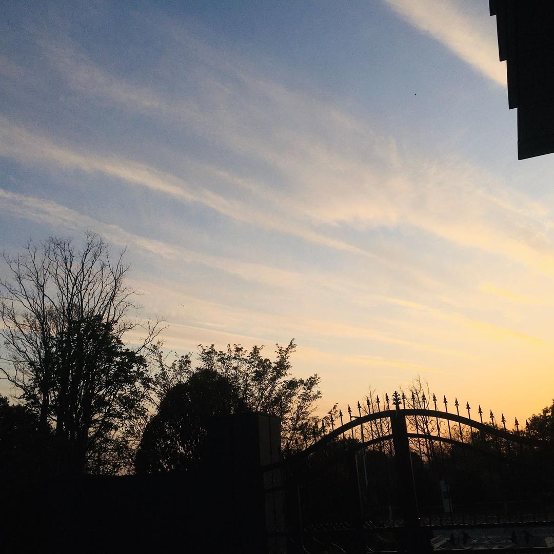 小学森lure