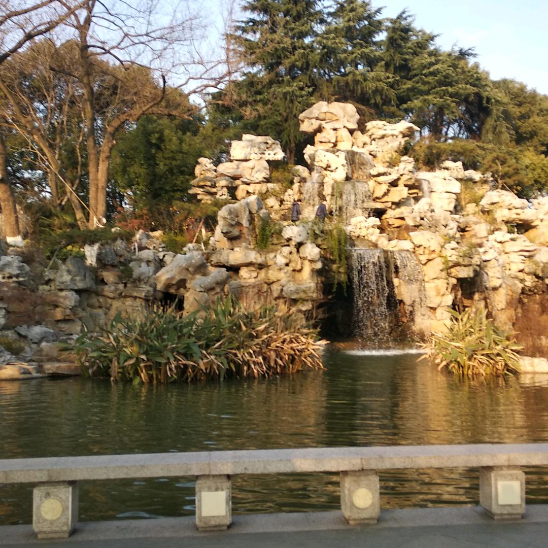东东