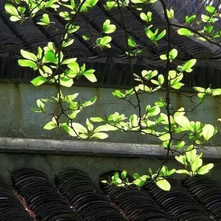 灵魂的锚用户3465804743590