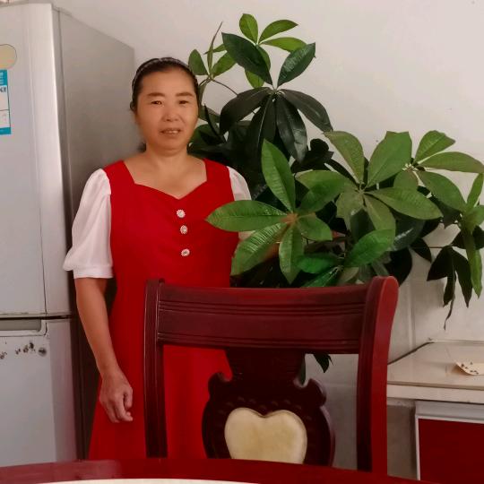 何七姐