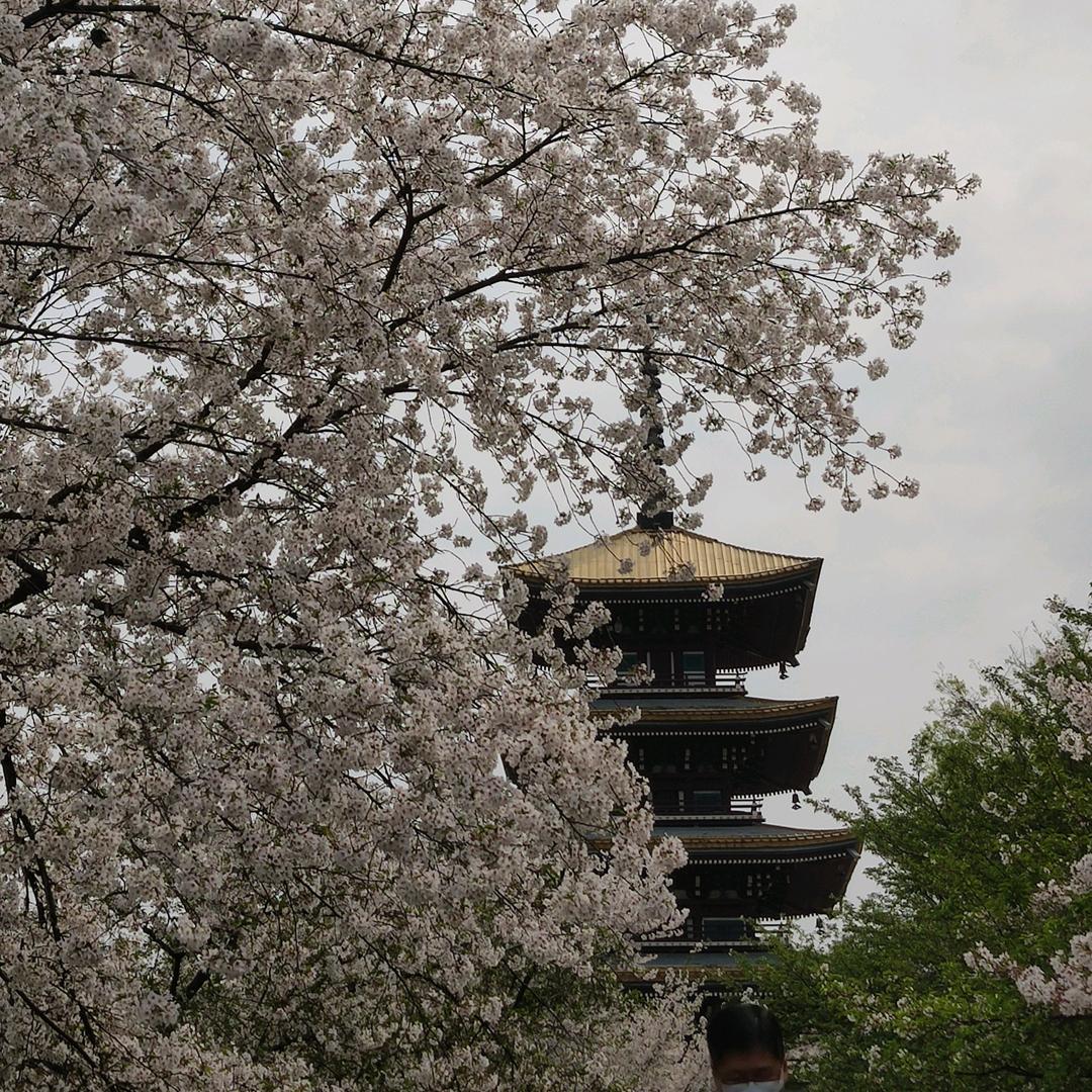 光芒万丈
