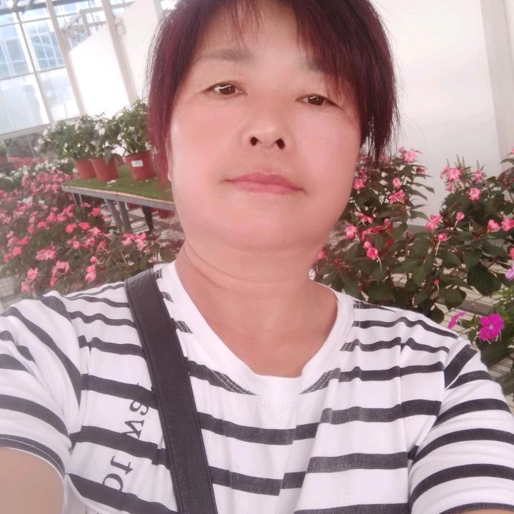 美丽冰霜