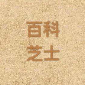 百科芝士🧀️