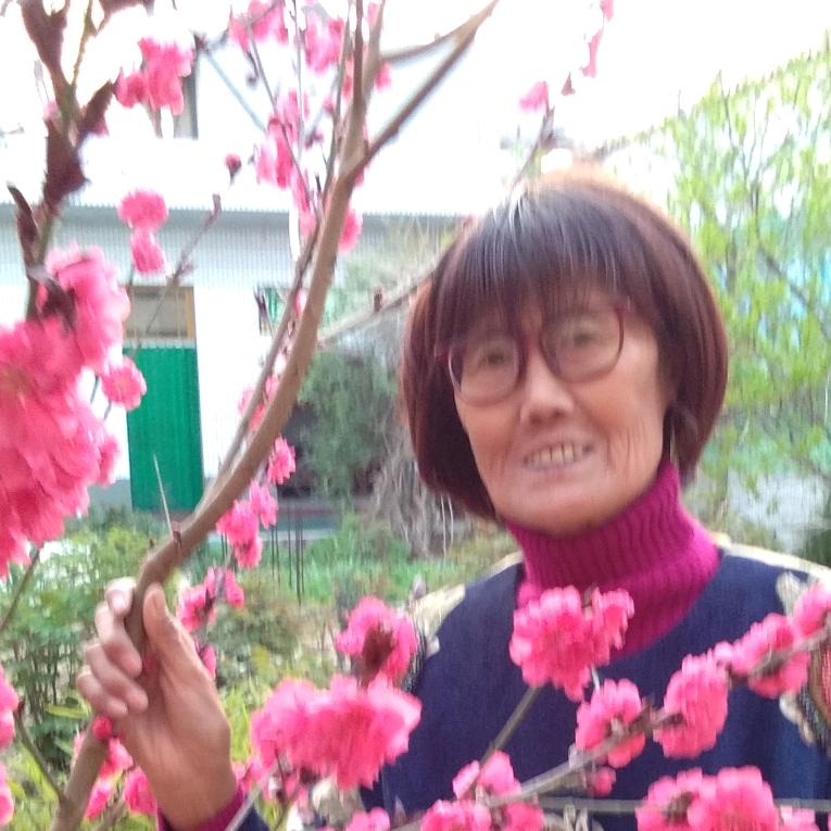 绿意盎然