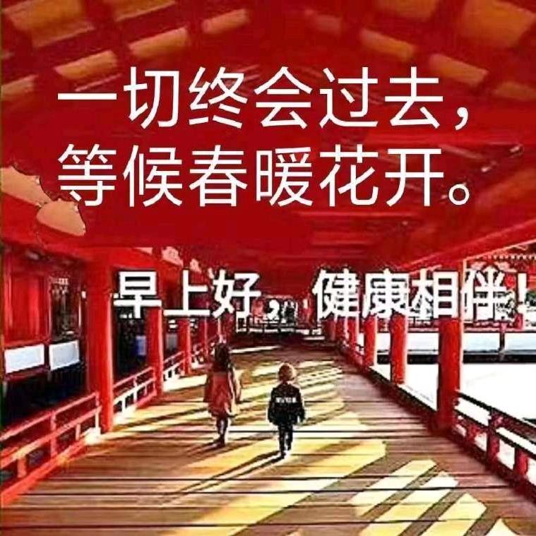 博淼商贸副食礼品批发官方号