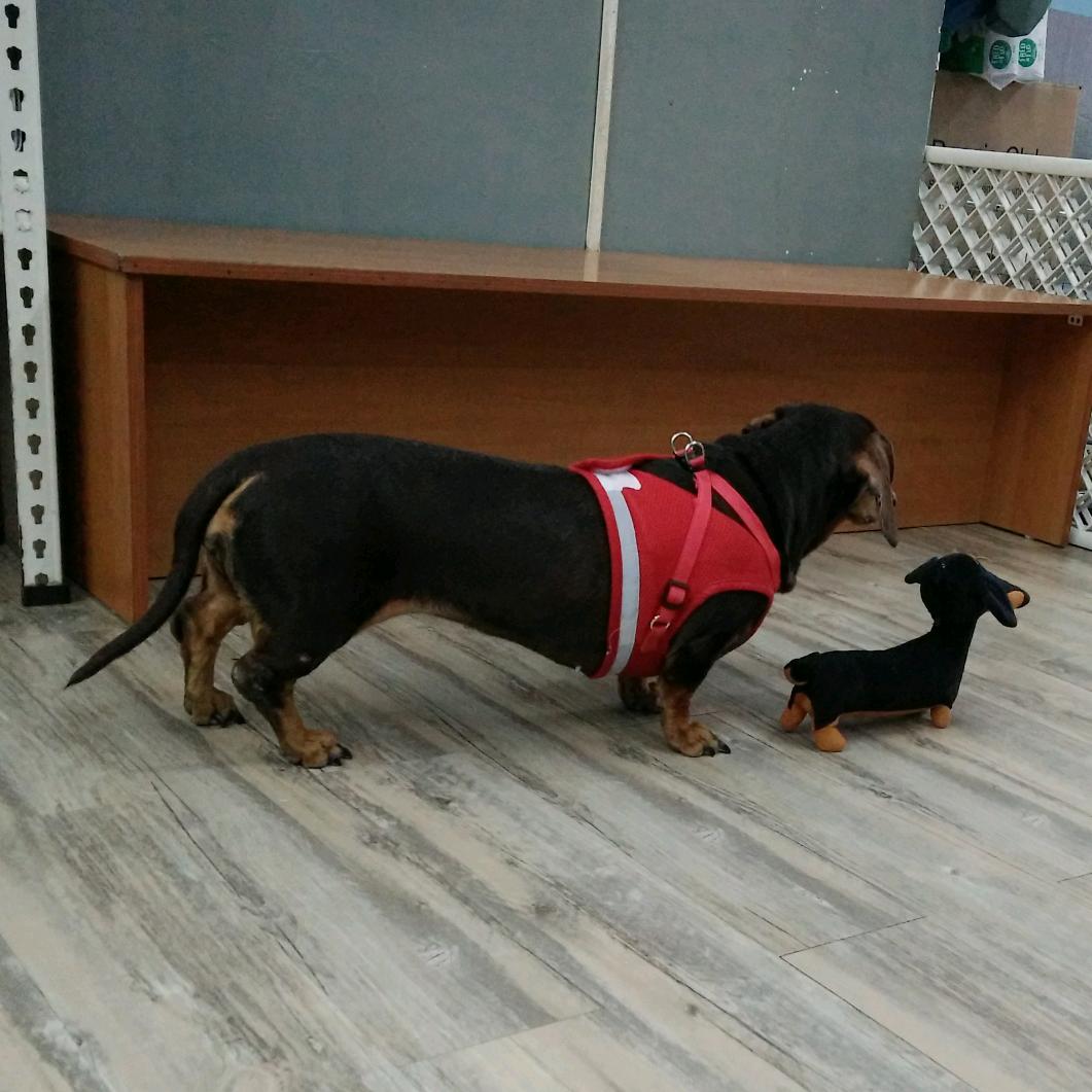 只会玩的小朋友