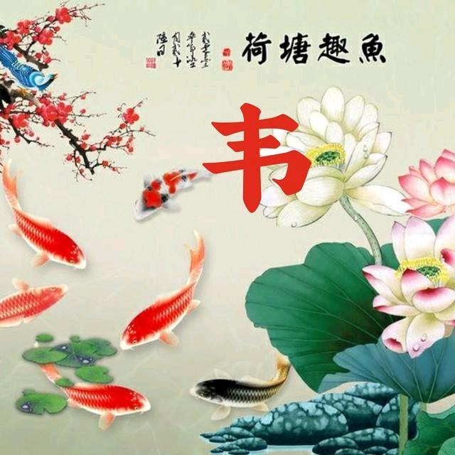 马山老专业.批荡.抹灰