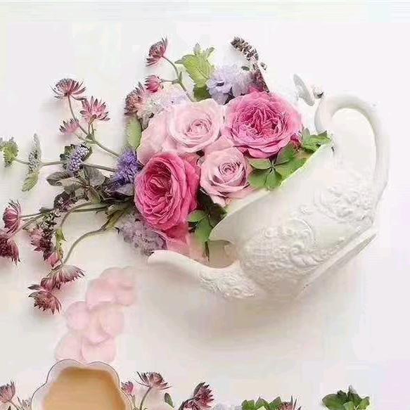 白云花