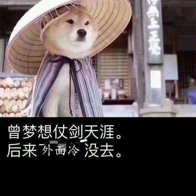 心有阳光.