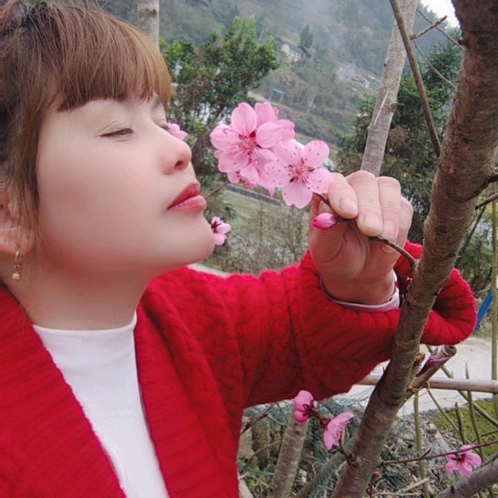 熊熊幸运，猪猪