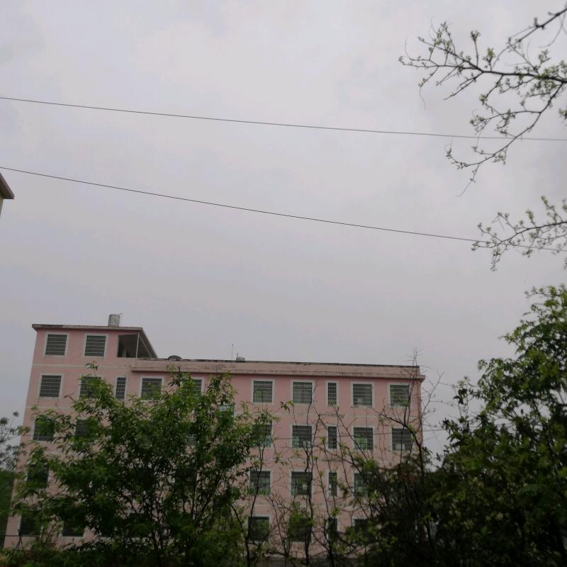 一夜暴富