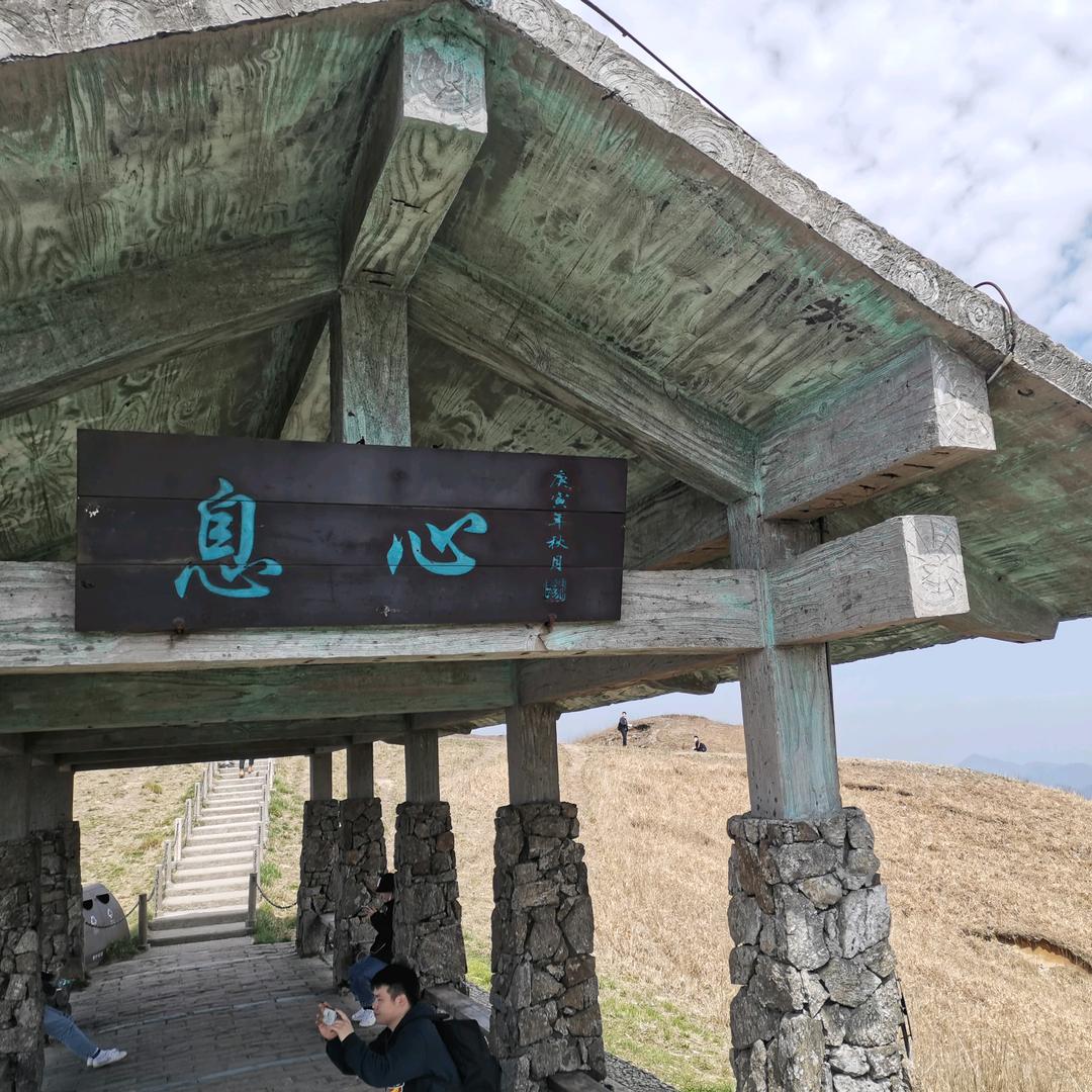 老鱼