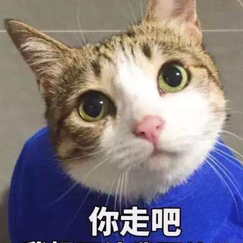 懒惰的兔子