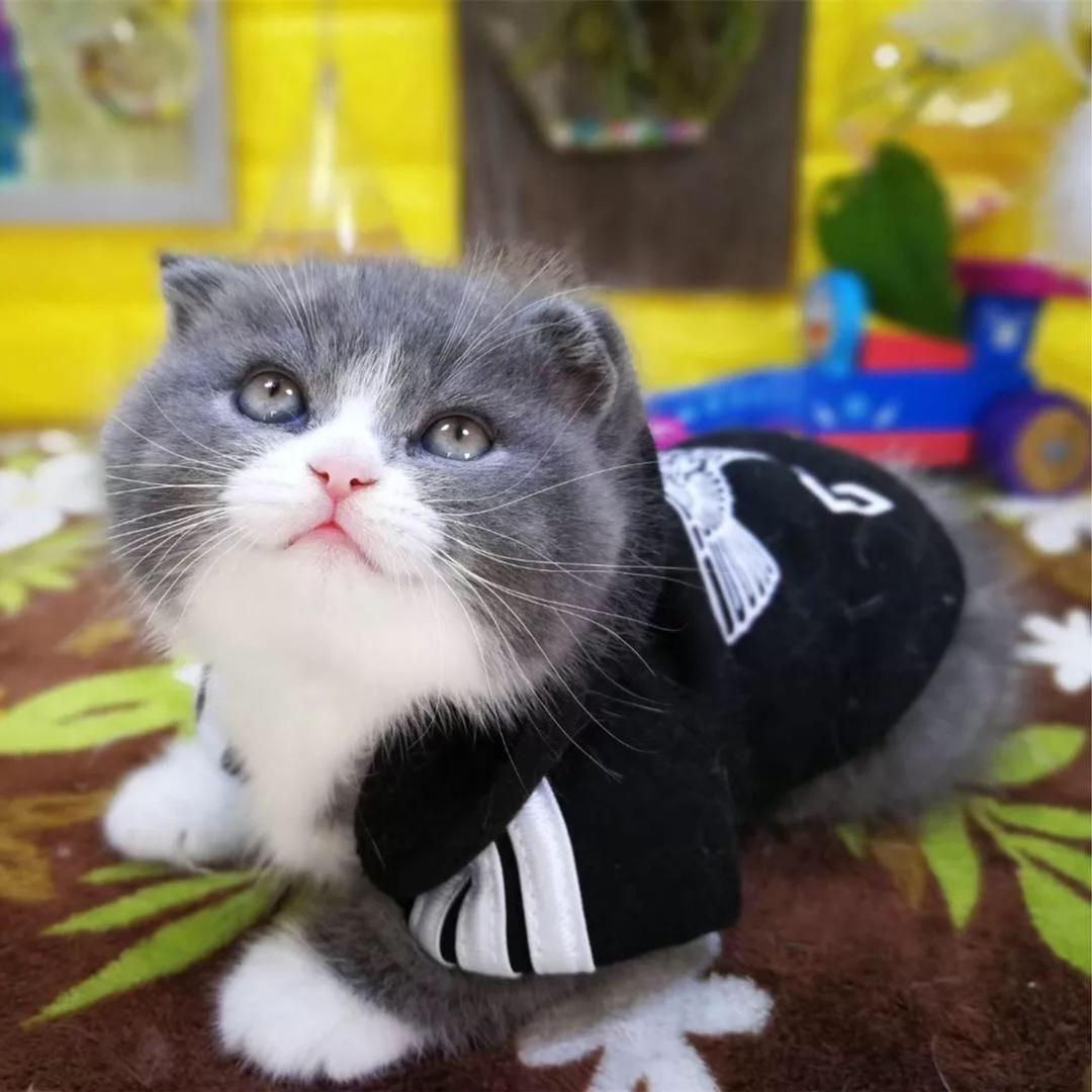 衍泽,