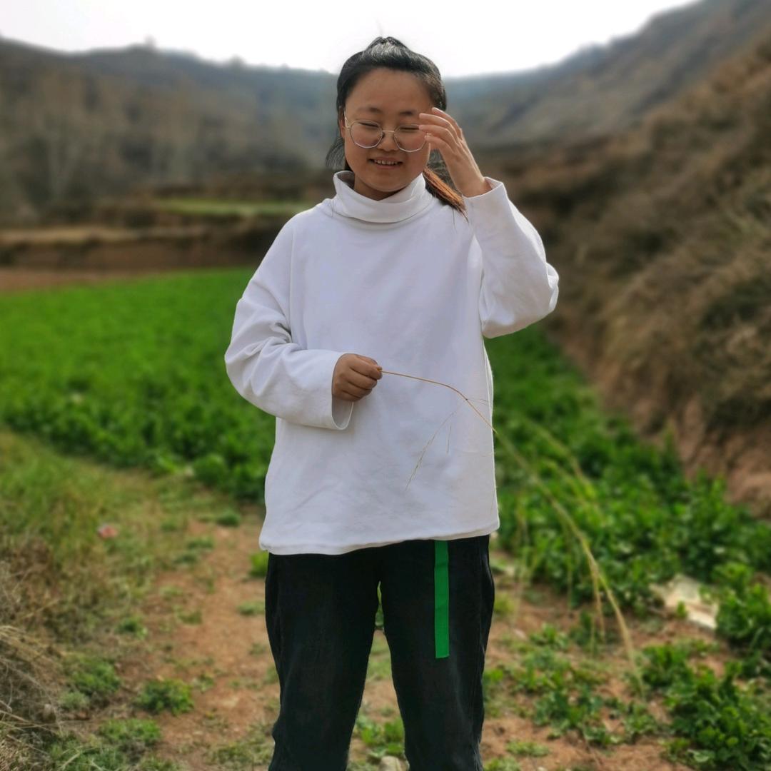 甘肃胖娃娃(定西宽粉 牛筋面)