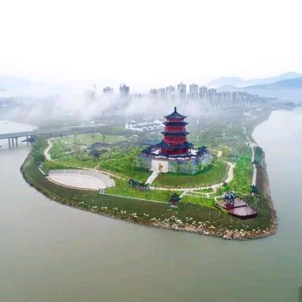 庐陵大白鲨