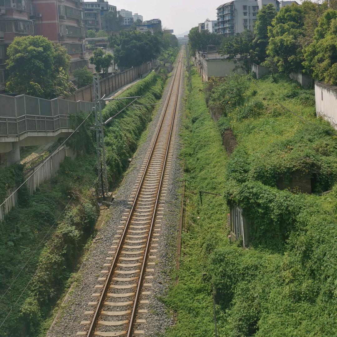 草不知名略似兰