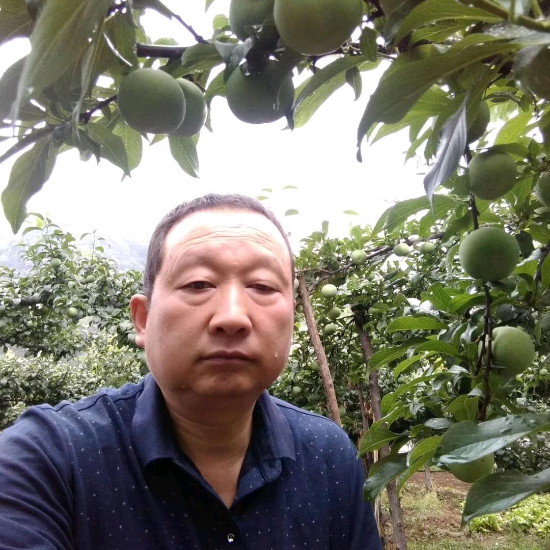 沈建的小店
