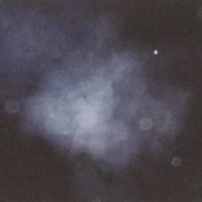 走失的群居生物