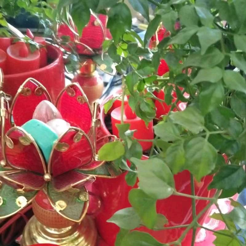 天天幸福