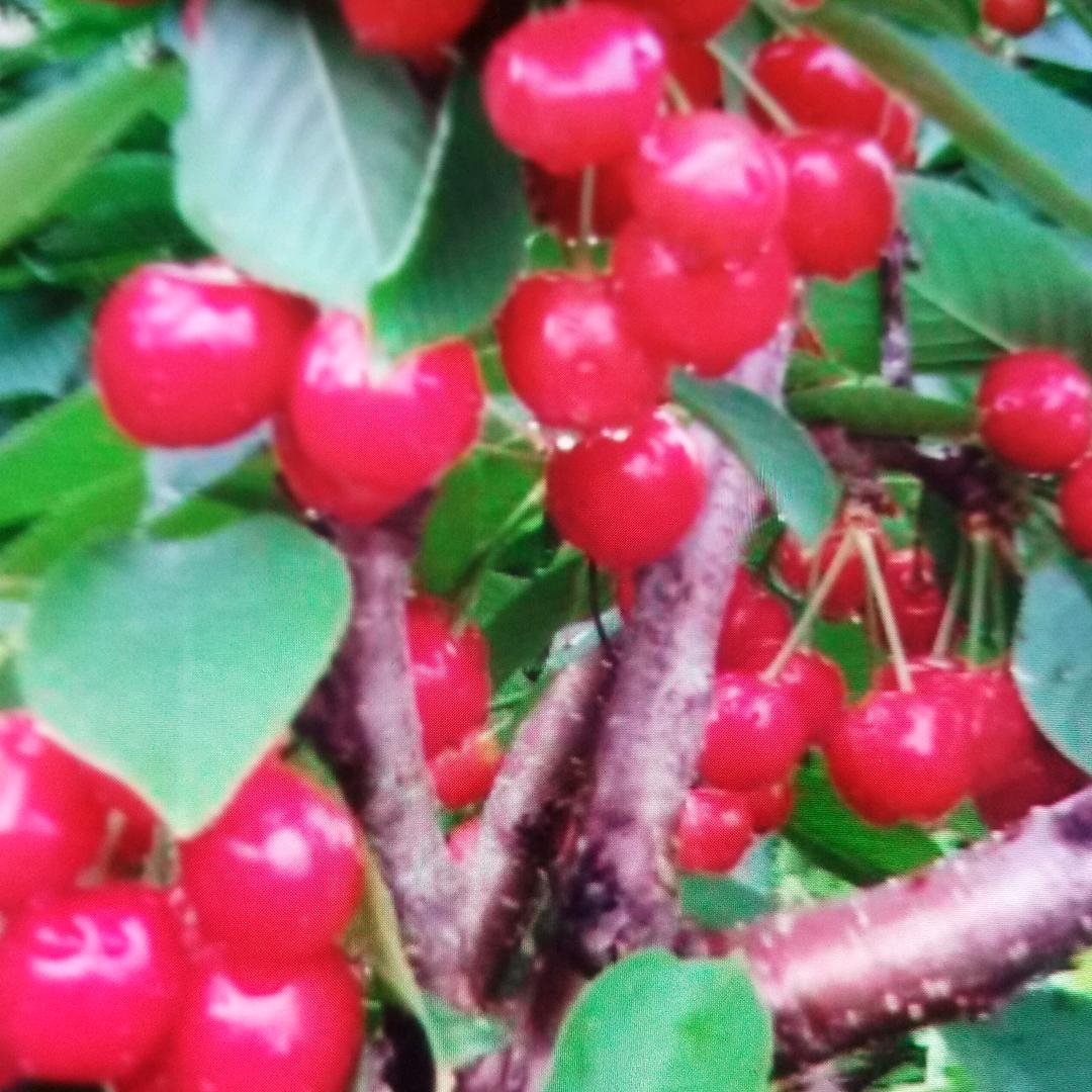 幸福人生一于寿强