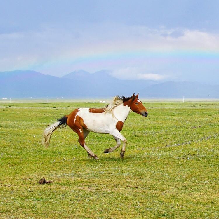 用户越努力越幸运