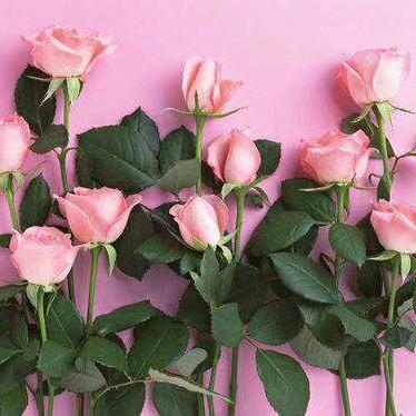 尚菡轻奢美学(康华园小区店)专用号