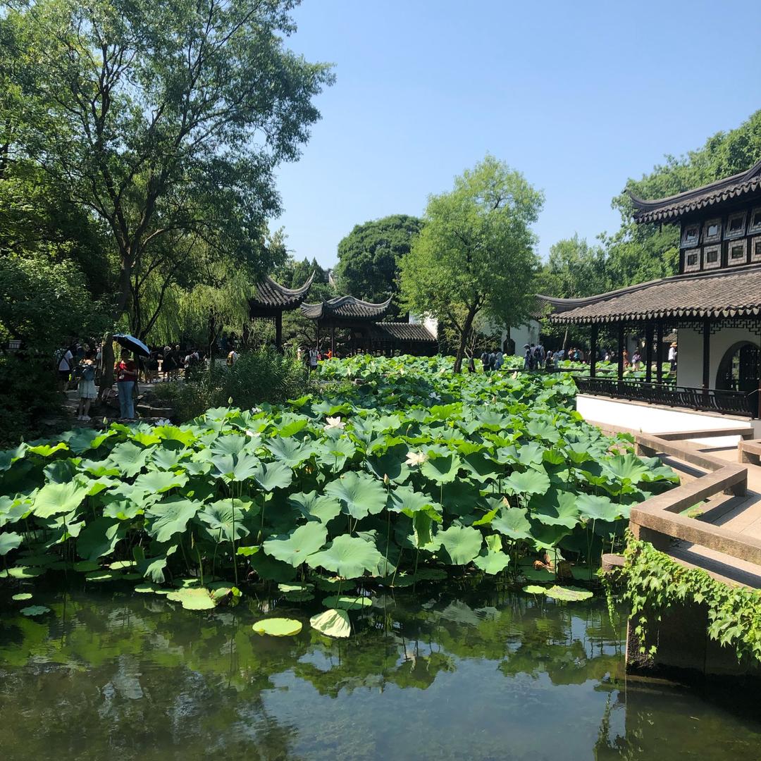 金色明天（刀迷）、（军迷）