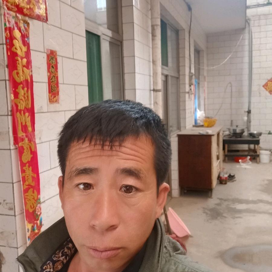 鸿雁