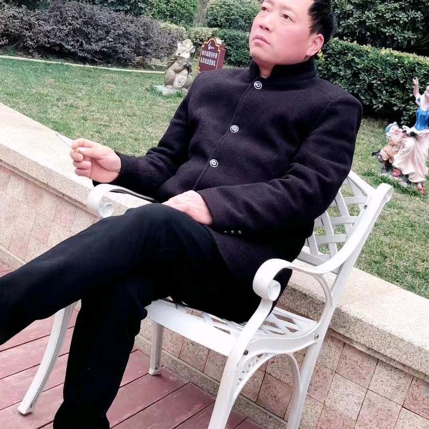 迎风飞舞