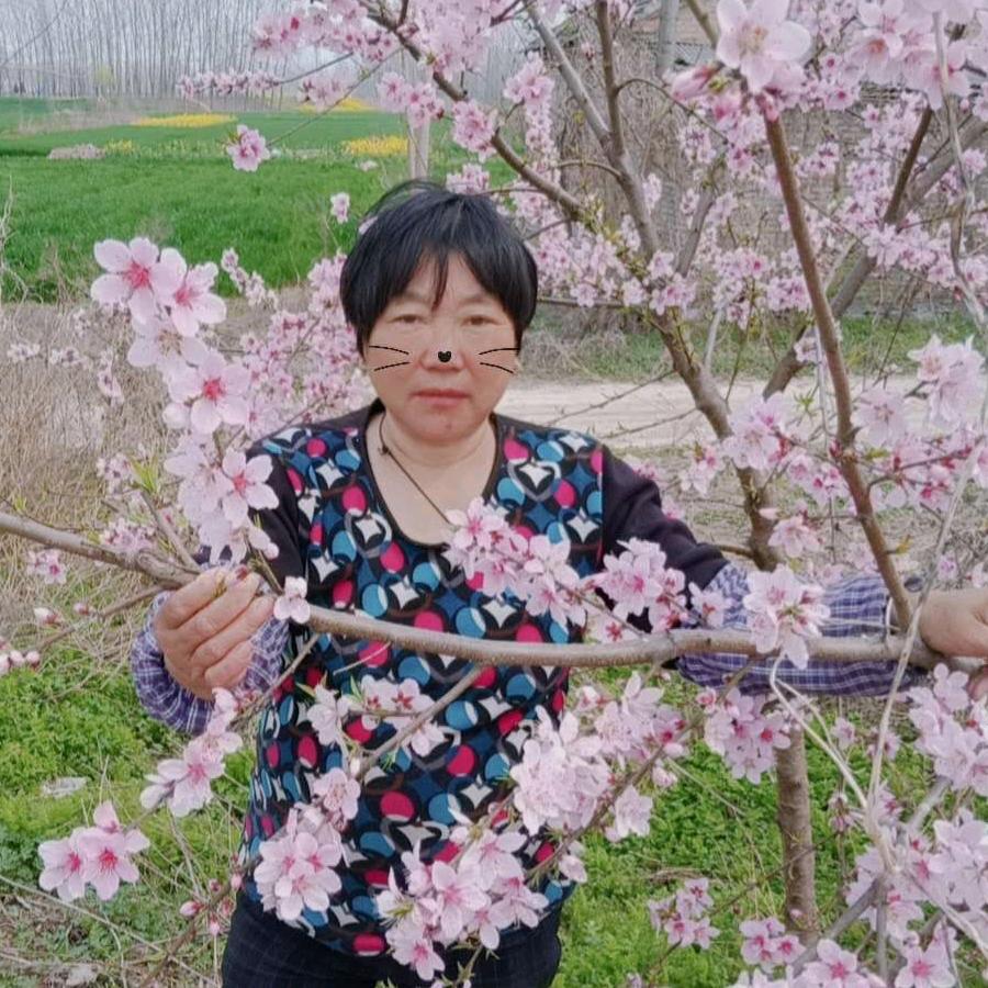 丁敏