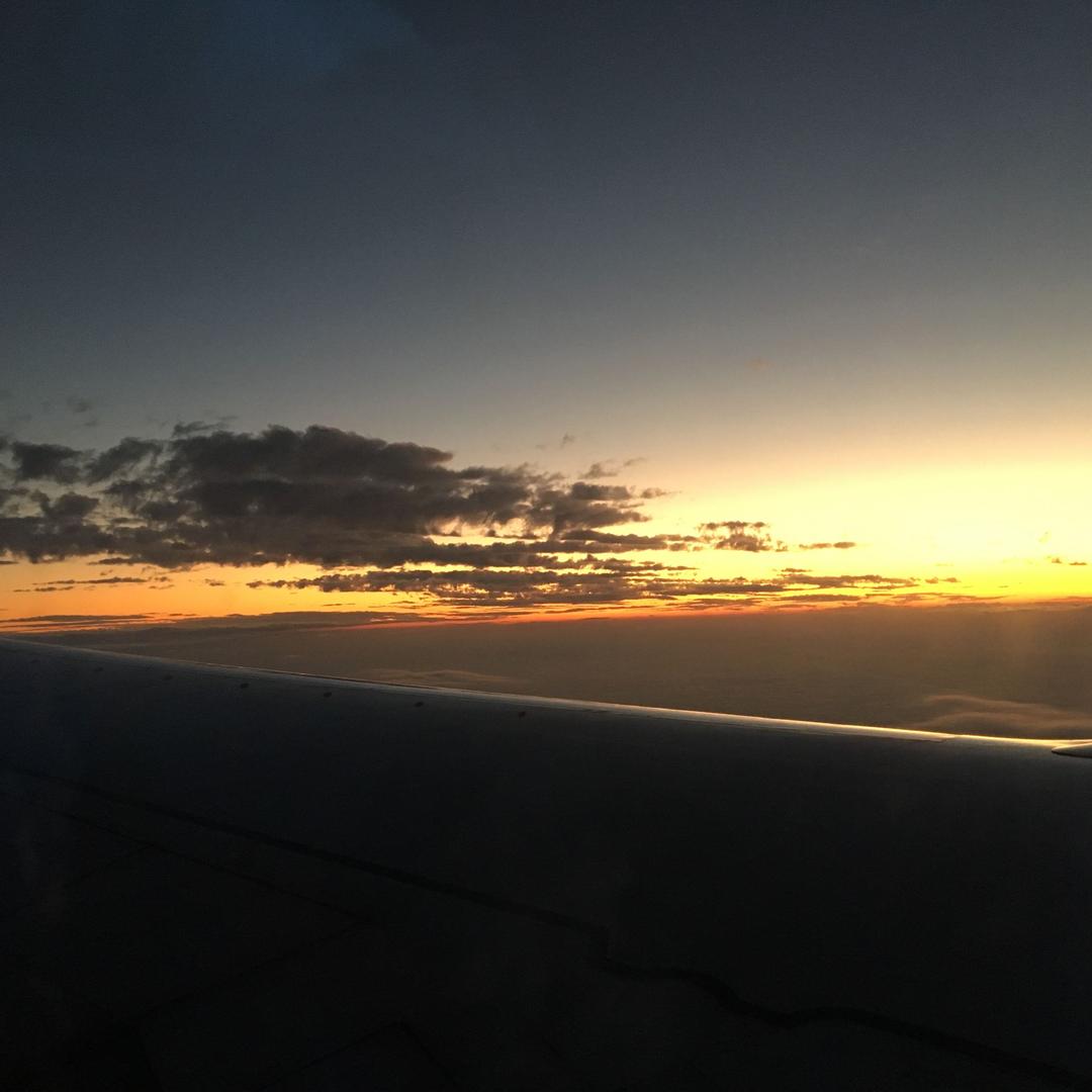 折耳根喜欢吃西瓜