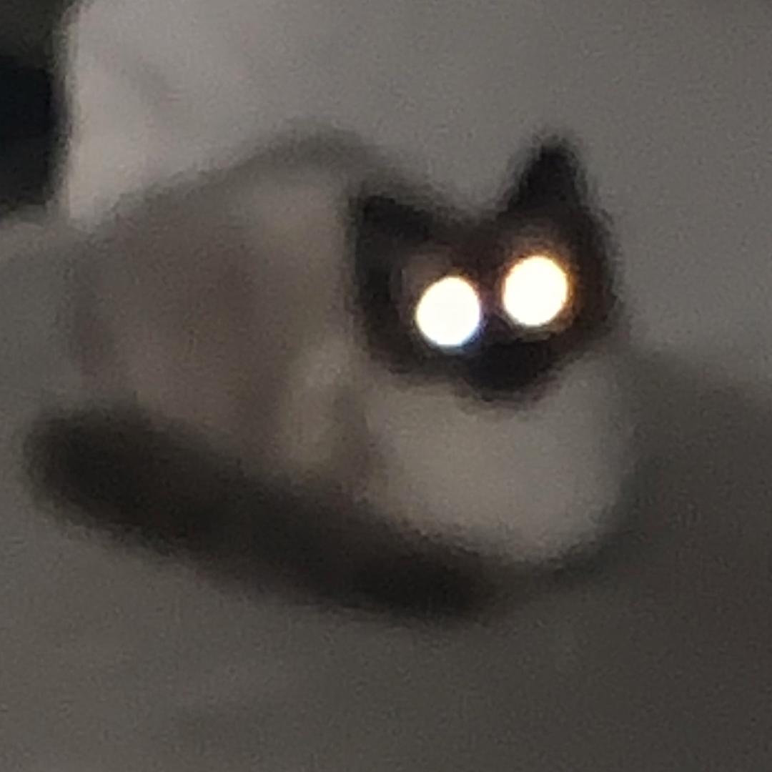 ViViiiii