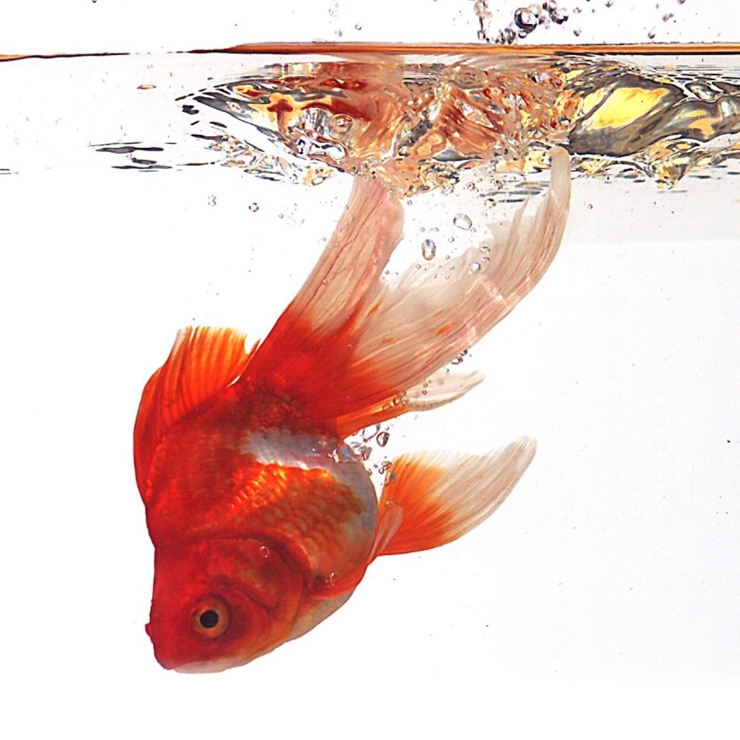 ☁️林☁️☁️