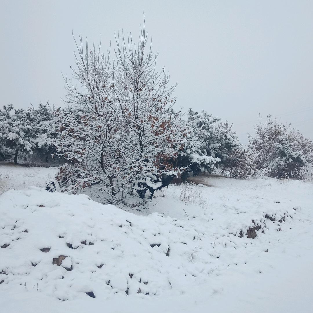 缘梦畅想四季有约